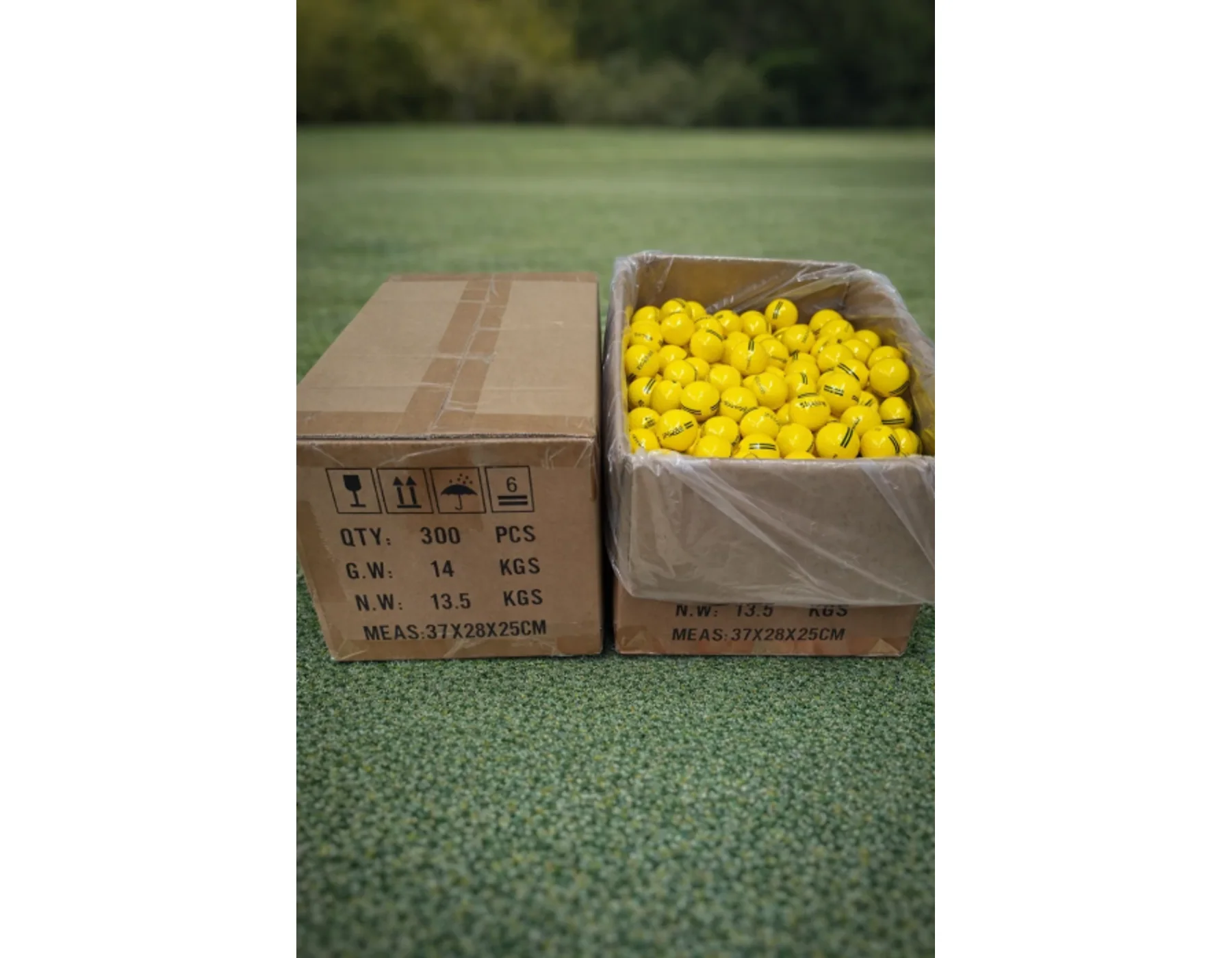 Bola de Practica 2 capas Bolas Tangible Golf