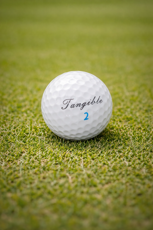 Bola de competición de 2 piezas Surlyn®