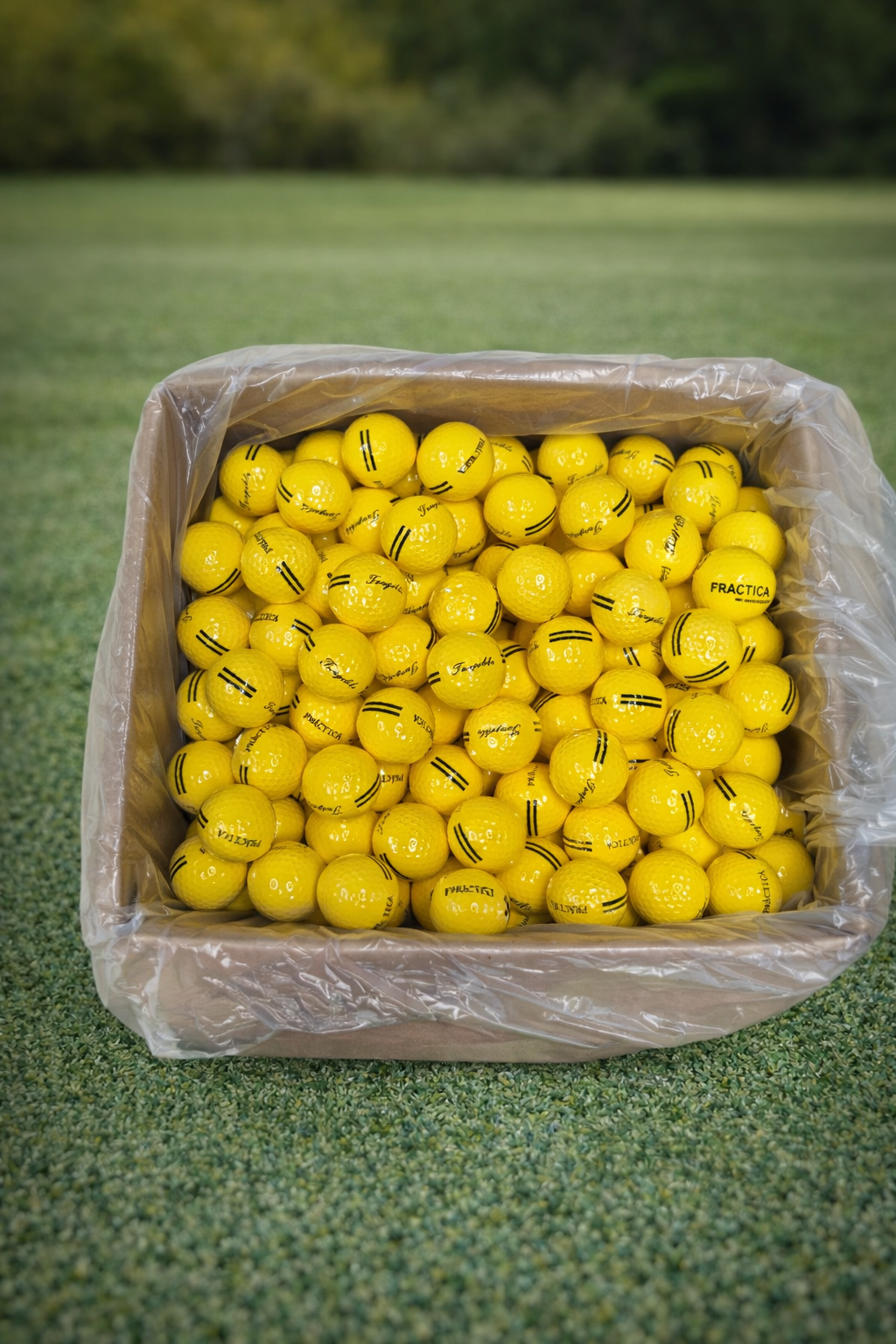 Bola de práctica de 2 piezas Surlyn®