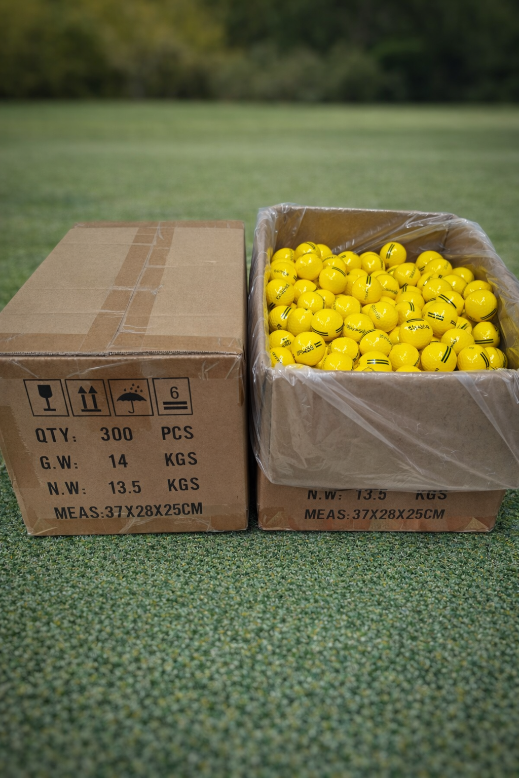 Bola de práctica de 2 piezas Surlyn®